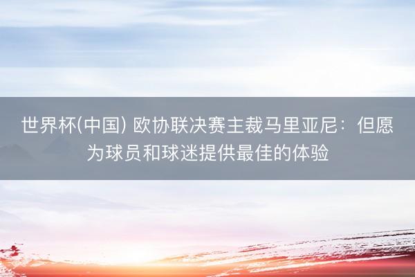 世界杯(中国) 欧协联决赛主裁马里亚尼：但愿为球员和球迷提供最佳的体验