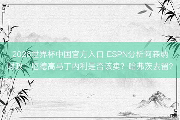 2026世界杯中国官方入口 ESPN分析阿森纳财政：厄德高马丁内利是否该卖？哈弗茨去留？