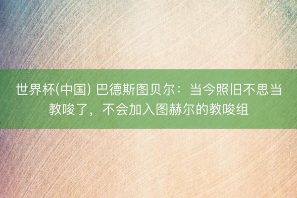 世界杯(中国) 巴德斯图贝尔：当今照旧不思当教唆了，不会加入图赫尔的教唆组