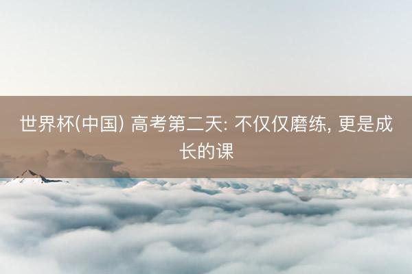 世界杯(中国) 高考第二天: 不仅仅磨练， 更是成长的课