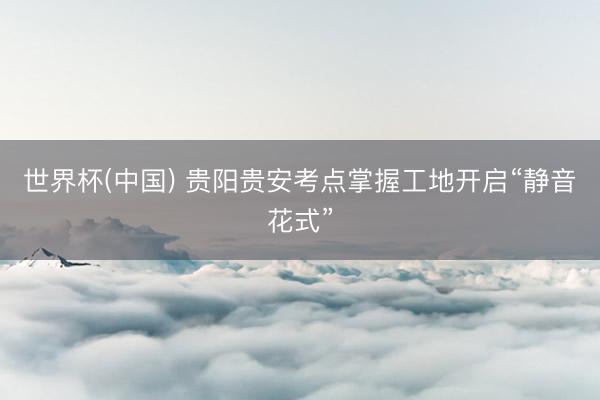 世界杯(中国) 贵阳贵安考点掌握工地开启“静音花式”