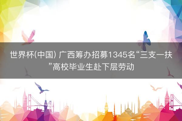 世界杯(中国) 广西筹办招募1345名“三支一扶”高校毕业生赴下层劳动