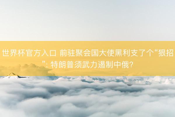 世界杯官方入口 前驻聚会国大使黑利支了个“狠招”: 特朗普须武力遏制中俄?