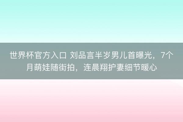 世界杯官方入口 刘品言半岁男儿首曝光,7个月萌娃随街拍,连晨翔护妻细节暖心