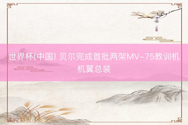 世界杯(中国) 贝尔完成首批两架MV-75教训机机翼总装