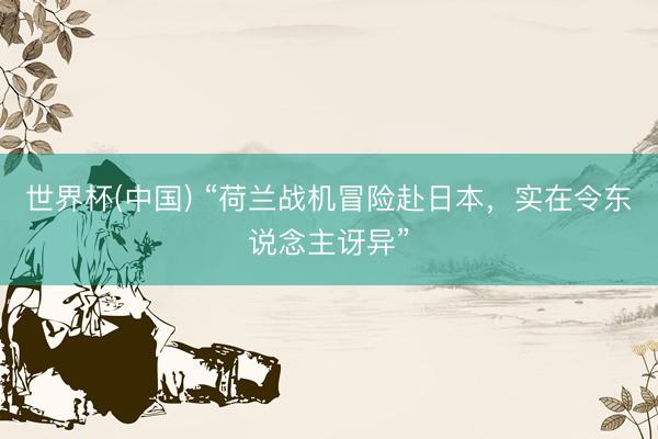 世界杯(中国) “荷兰战机冒险赴日本，实在令东说念主讶异”