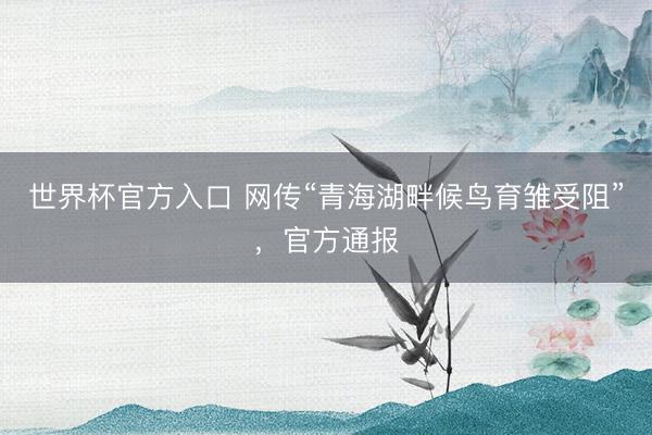 世界杯官方入口 网传“青海湖畔候鸟育雏受阻”，官方通报