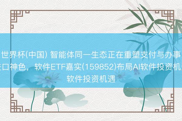 世界杯(中国) 智能体同一生态正在重塑支付与办事进口神色，软件ETF嘉实(159852)布局AI软件投资机遇