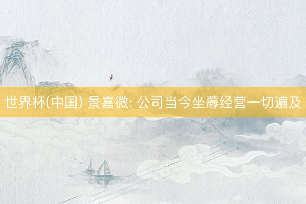 世界杯(中国) 景嘉微: 公司当今坐蓐经营一切遍及