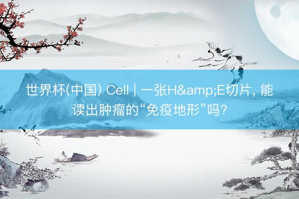 世界杯(中国) Cell | 一张H&E切片， 能读出肿瘤的“免疫地形”吗?